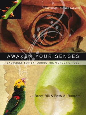 cover image of Awaken Your Senses